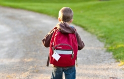 Как выбрать правильный рюкзак школьнику: рекомендации Роскачества
